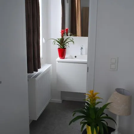 Apartment City Center *